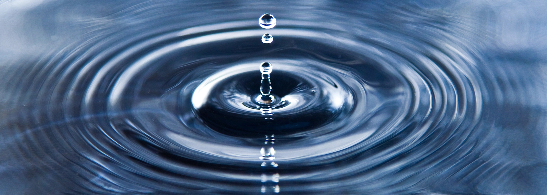 Bracewell Wellbeing banner image, which shows a waterdrop.