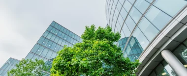 Bracewell Environmental, Social, and Governance practice banner image, which shows office buildings and trees around them.