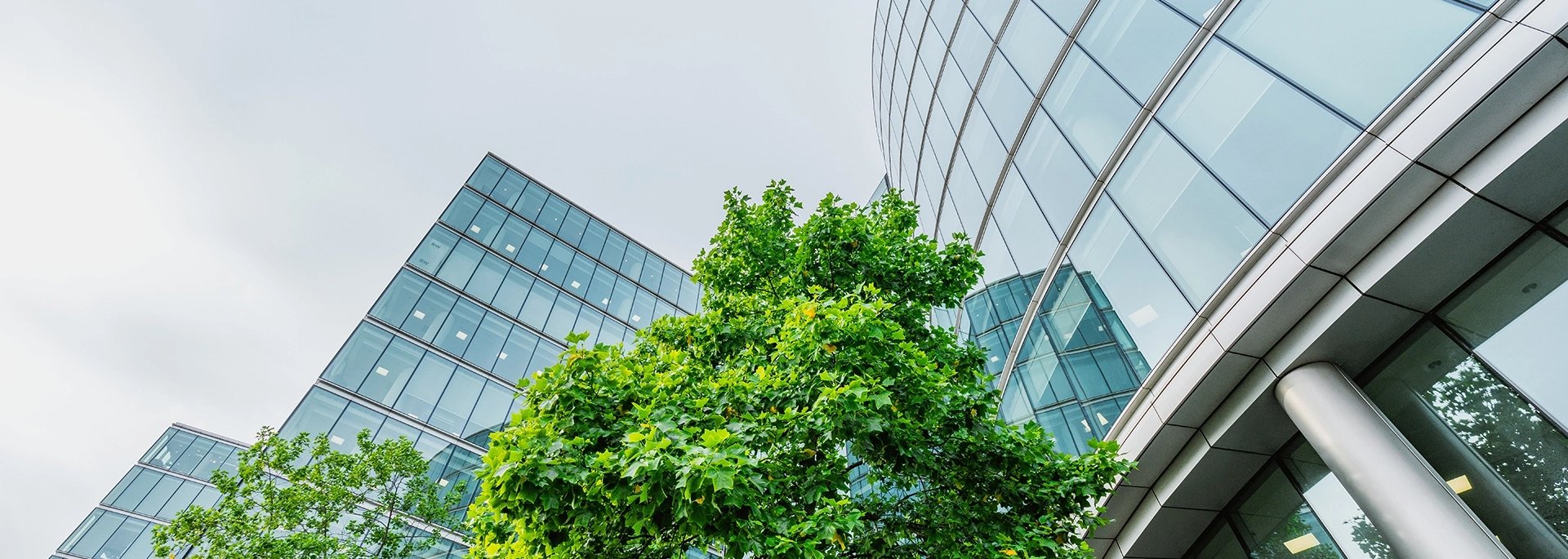 Bracewell Environmental, Social, and Governance practice banner image, which shows office buildings and trees around them.