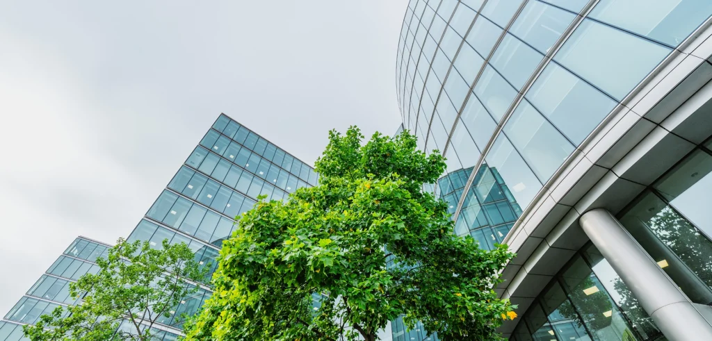 View of buildings and trees
