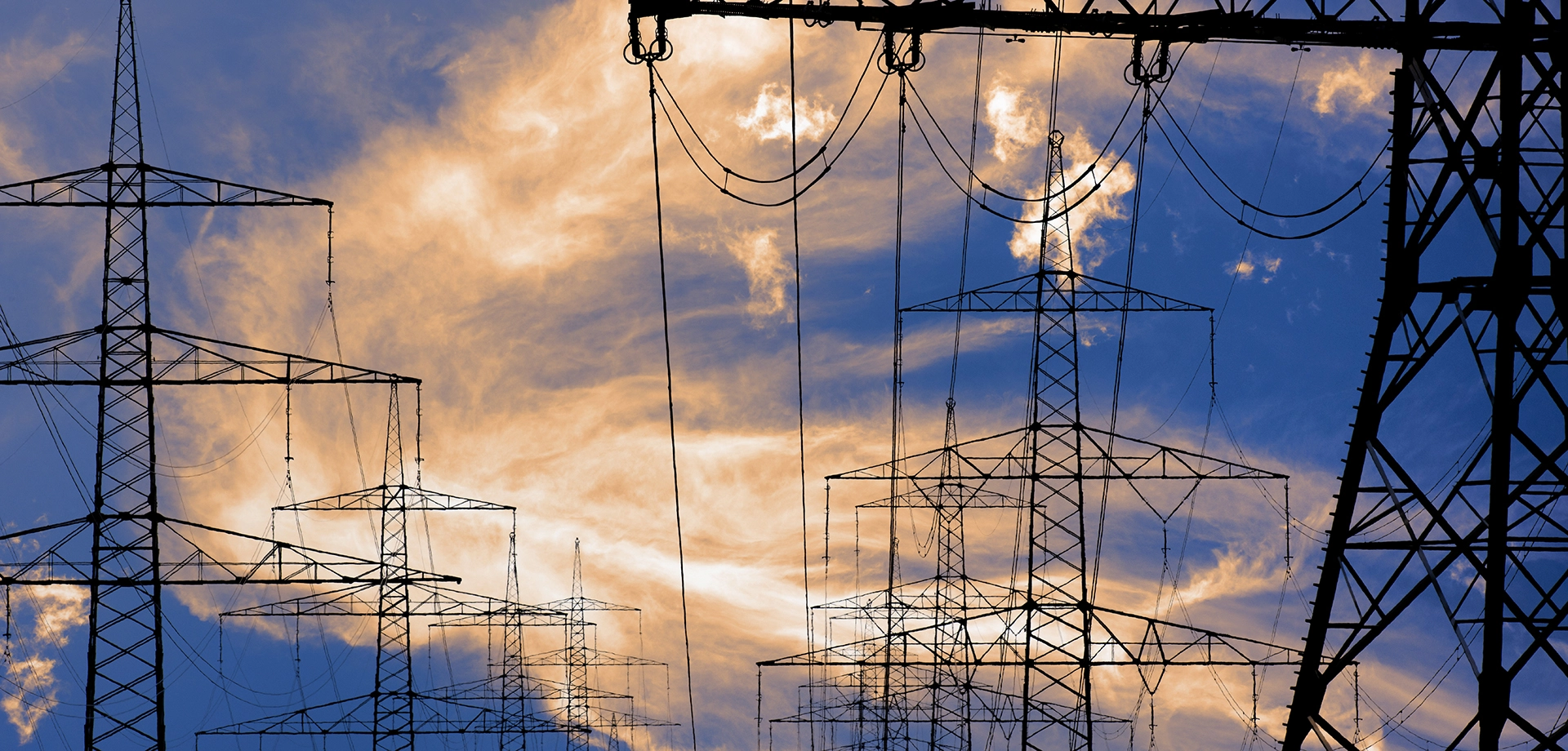 Electric Power Grid