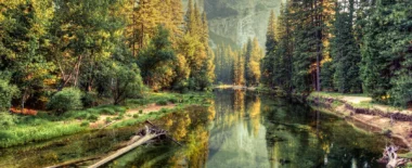 Bracewell Environment practice banner image, which shows mountains, trees, and a river.