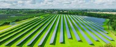 Lines of solar panels in a field