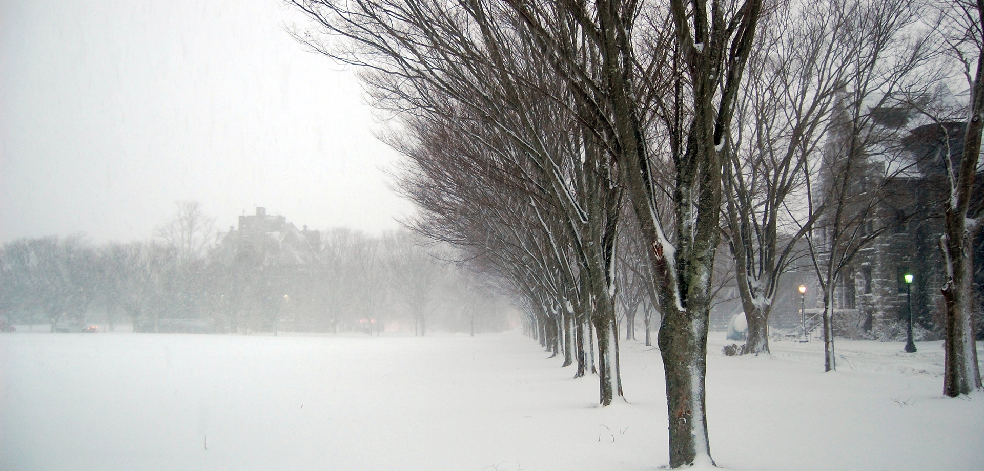 Winter Storm