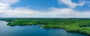 Media item displaying FWS and NMFS Unveil New Proposed Revisions to Endangered Species Act Regulations